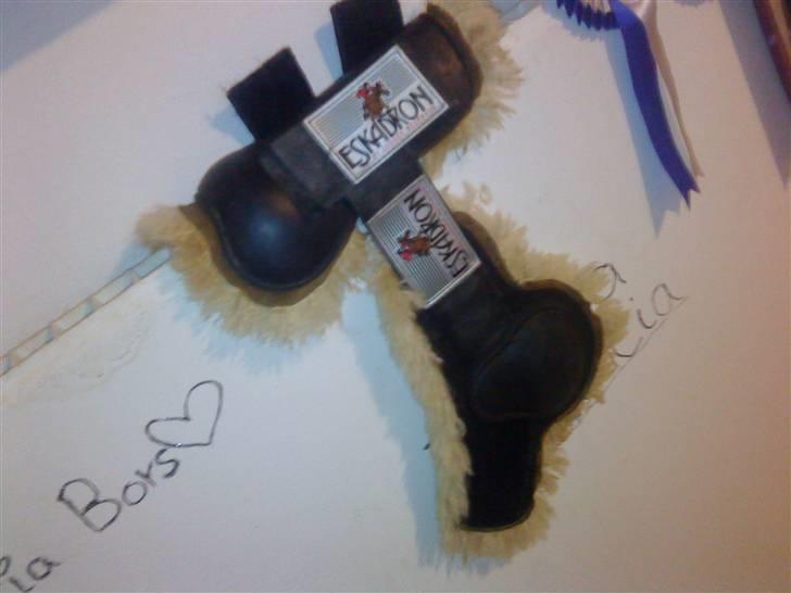 Mine hesteting ;O) - Str pony ( passer cob ) billede 15