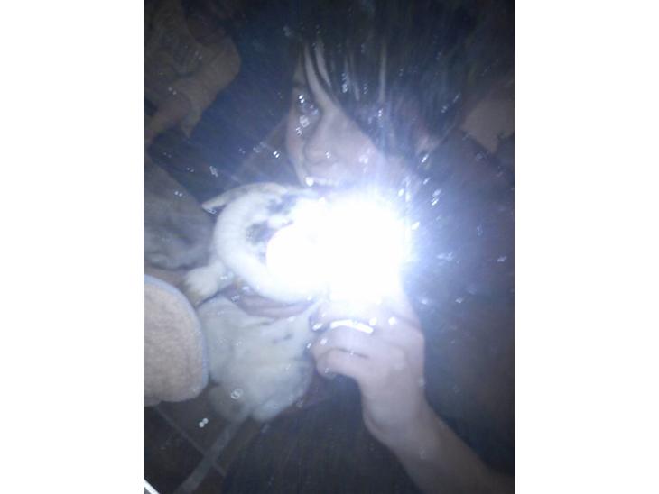 {{currentPhoto.altText}} billede {{currentPhoto.number}}