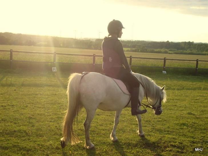 Heste basserne :) - Barbie & Anna billede 13