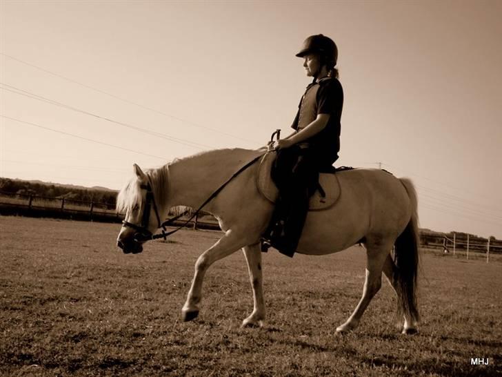 Heste basserne :) - Barbie & Anna billede 14