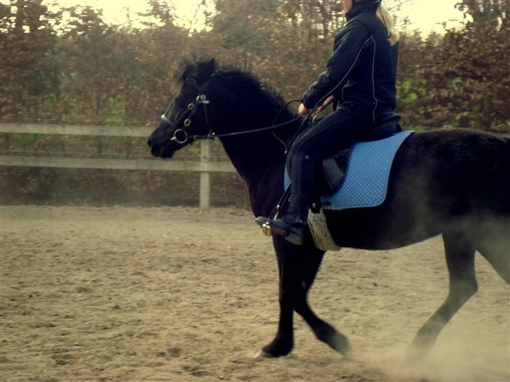 Heste basserne :) - Catwoman og Julie. billede 18