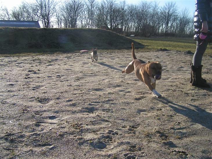 {{currentPhoto.altText}} billede {{currentPhoto.number}}