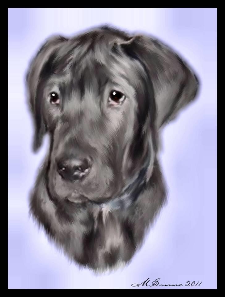 En streg kan bruges til meget :O) billede 28