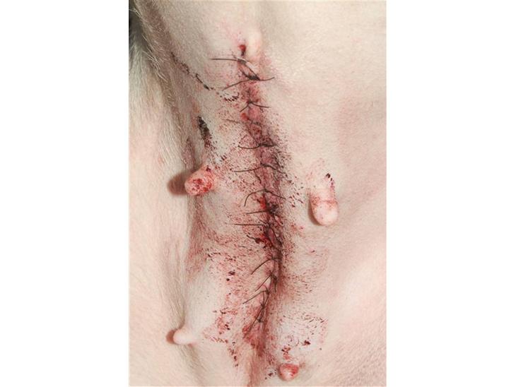 {{currentPhoto.altText}} billede {{currentPhoto.number}}