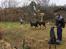 Hundetræning 03-04-2011 - Bagparts kontrol  - hund skal rykke bagben men blive stående med forben, platform her, bruges også til at træne LIGE positioner dvs stå plads sit så de lærer fra start af at rette ind så øvelsen ikke er skår eller skæv.