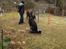 Hundetræning 03-04-2011 - Slalom øvelser, igen for at få bagparts kontrol, så hund lære at gå igennem uden at vælte stolperne.
Charlie har været god til at vælte stolper, nu har han vist fundet ud af det selvom det er svært syns han :o))

Bravi kan nu godt lide det der Platform :o))