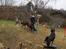Hundetræning 03-04-2011 - Slalom øvelser, igen for at få bagparts kontrol, så hund lære at gå igennem uden at vælte stolperne.
Charlie har været god til at vælte stolper, nu har han vist fundet ud af det selvom det er svært syns han :o))