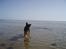 På stranden d. 10/4-11