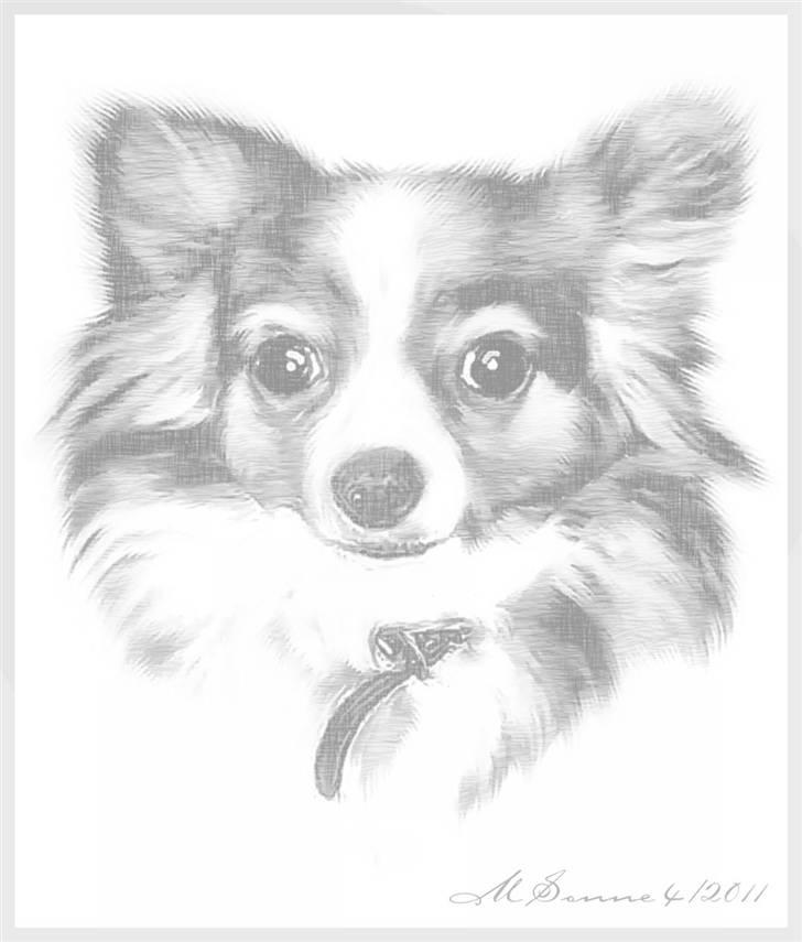 En streg kan bruges til meget :O) billede 2