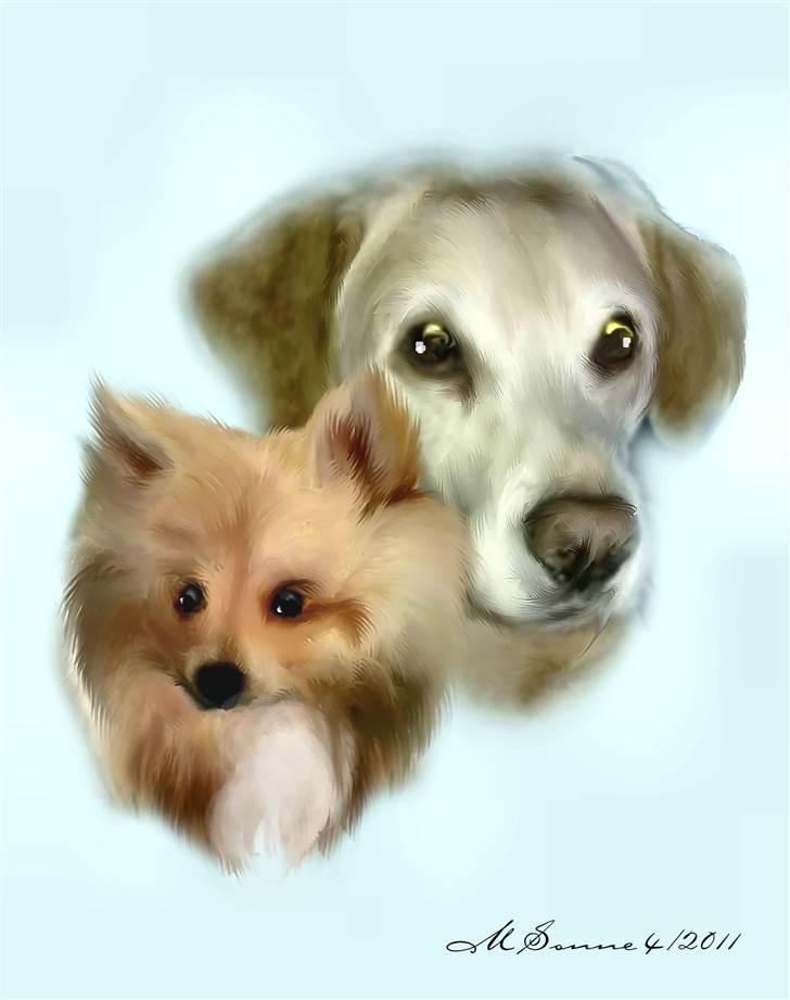 En streg kan bruges til meget :O) billede 29