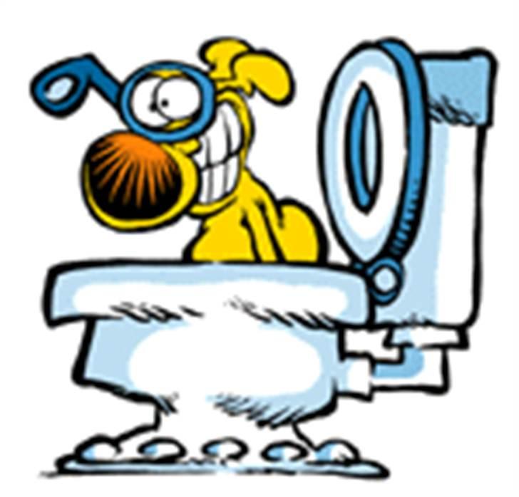 Diverse fjollerier - billede 38