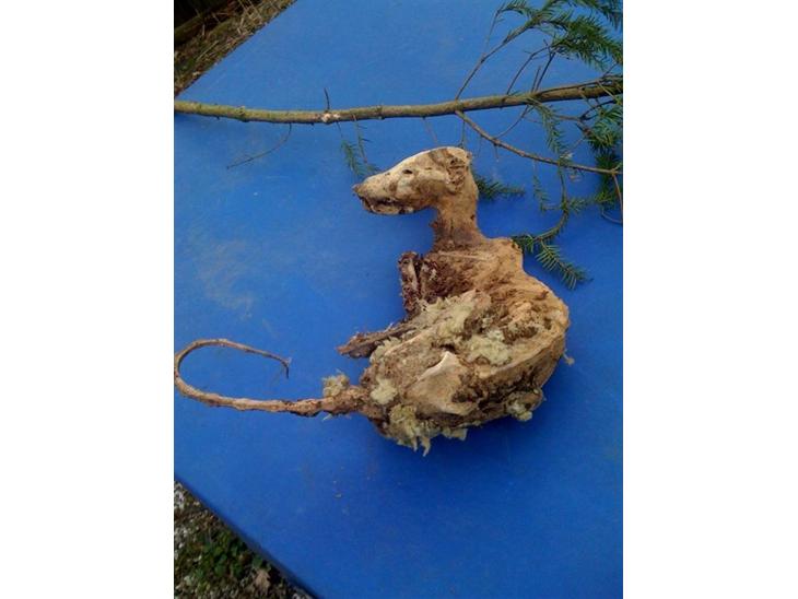 {{currentPhoto.altText}} billede {{currentPhoto.number}}