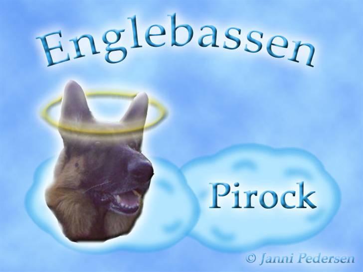 Andres hunde 1 - Engle - Englebassen Pirock
http://www.hundegalleri.dk/html/gal_visbruger.asp?userID=29854 billede 12
