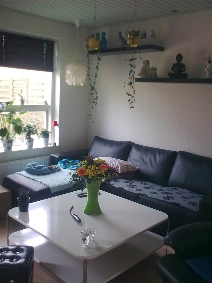 Blandede billeder - Stuen, hygge med tæpper i sofaen det elsker de små billede 3