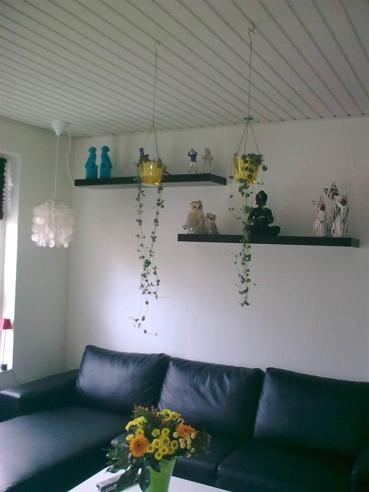 Blandede billeder - Stuen billede 5