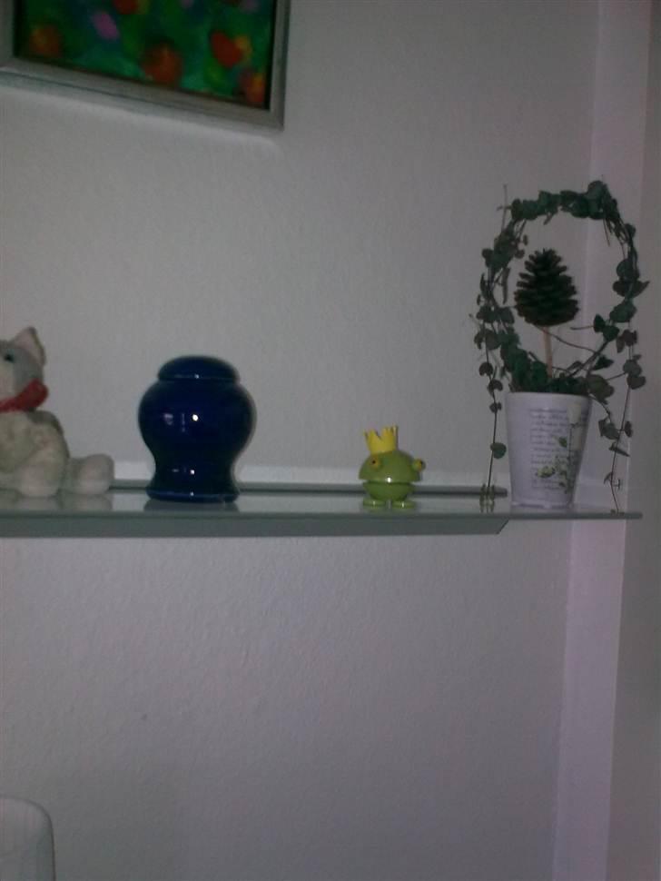 Blandede billeder - Micki prinsen hylde hvor hans urne står med nogle af han ynglings ting,meningen er der skal hænge et billede over hylden af micki,men det kan jeg ikke klare endnu :O(( billede 6
