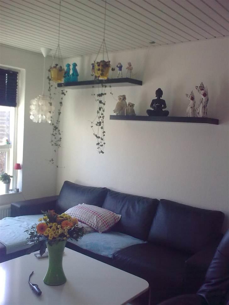 Blandede billeder - Den flotte buket der står på bordet har jeg fået af snoopy tidligere ejer betina og hendes mor og mormor så sødt af dem. billede 8