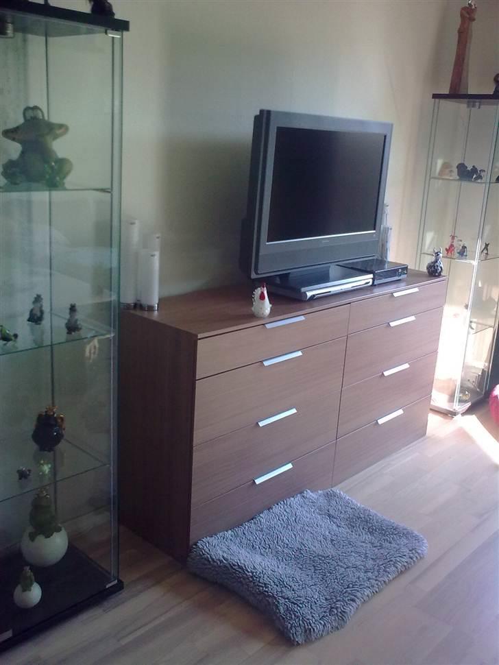 Blandede billeder - Lidt af stuen modsatte væg,har 2 glas montre jeg samler på frøer og hunde så et glas skab med hver, billede 13