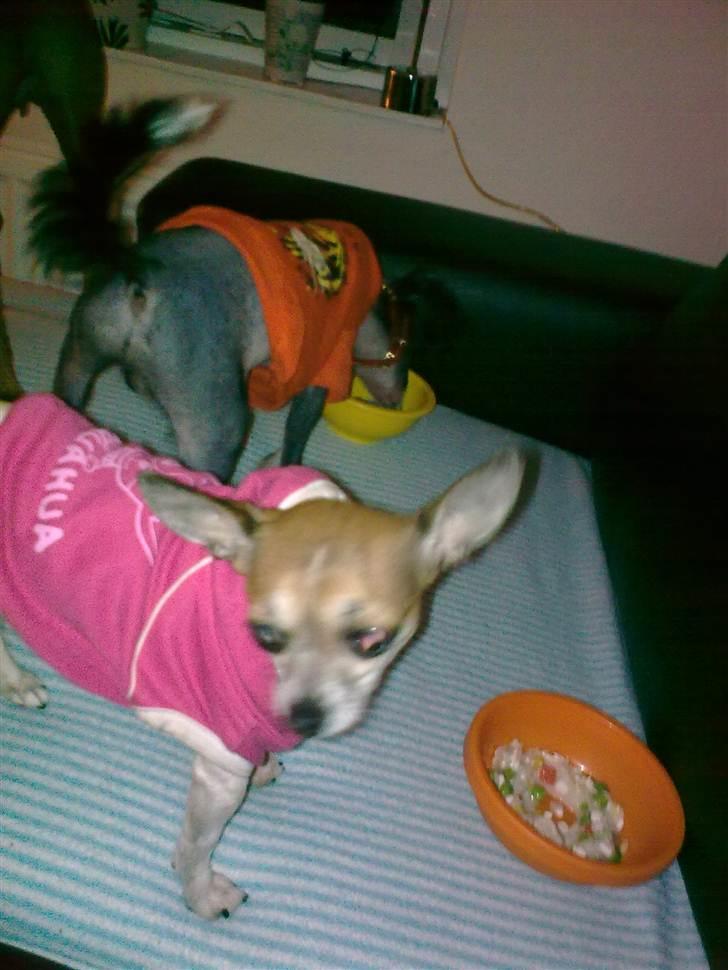 Blandede billeder - Jubii aftens mad billede 19