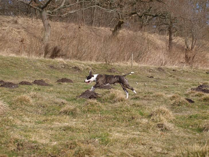 Wapzi<3 R.I.P.† 1 Maj 2020 † billede 27