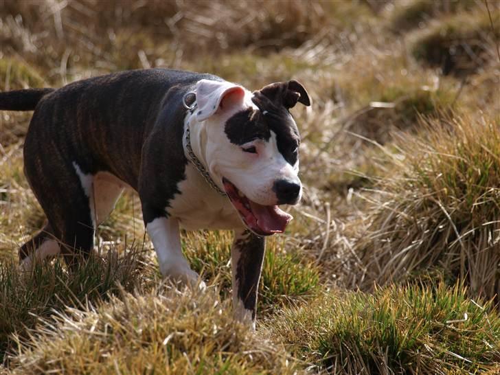 Wapzi<3 R.I.P.† 1 Maj 2020 † billede 29