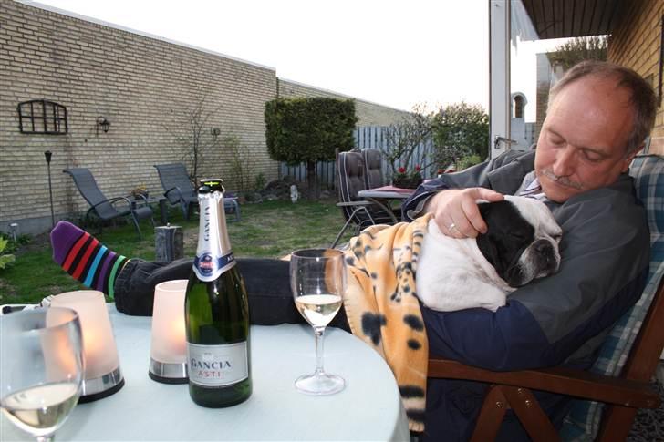 Påskebilleder - - Skødeputtegris billede 3