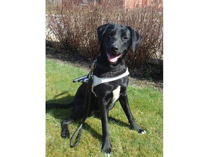 {{currentPhoto.altText}} billede {{currentPhoto.number}}