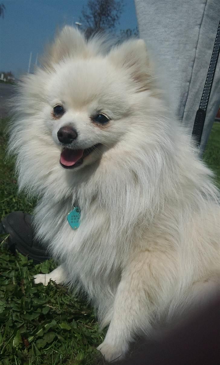 Lidt billeder i det gode vejr billede 14