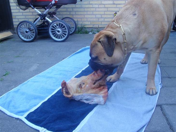 {{currentPhoto.altText}} billede {{currentPhoto.number}}