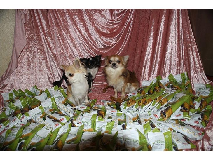 {{currentPhoto.altText}} billede {{currentPhoto.number}}