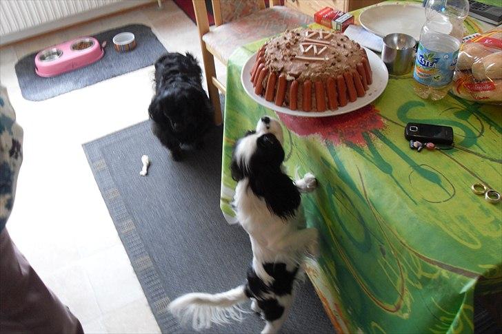 fødselsdag - uhm den dufter dejlig billede 3