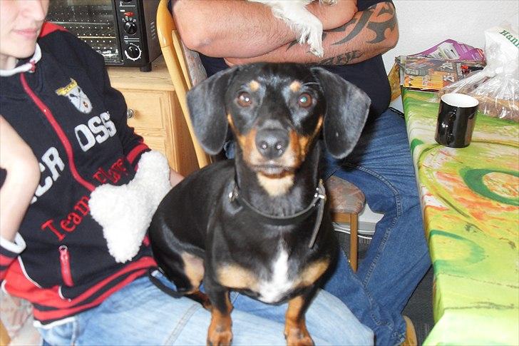 fødselsdag - coda billede 4