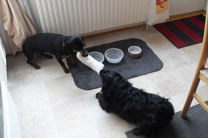 fødselsdag - vi leger li lidt billede 6