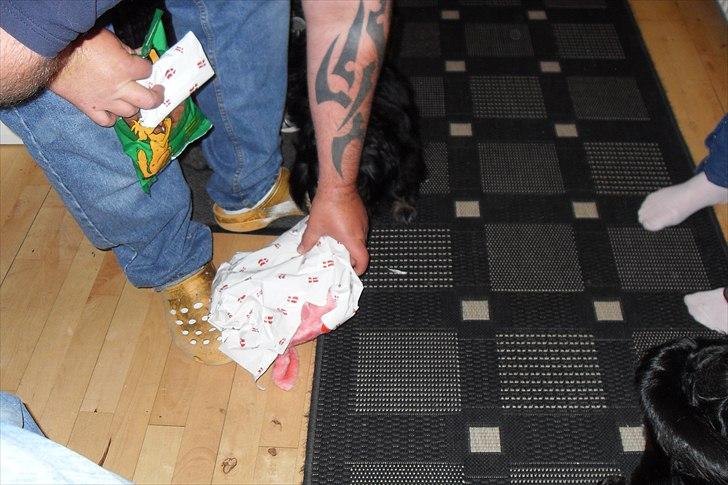 fødselsdag billede 8