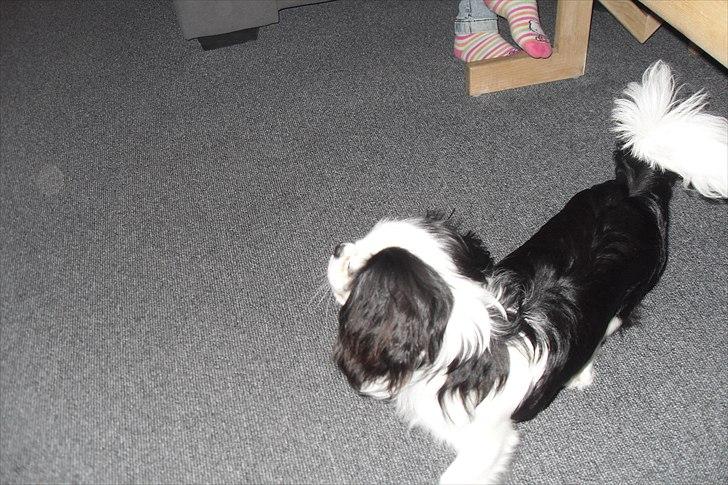 fødselsdag billede 18