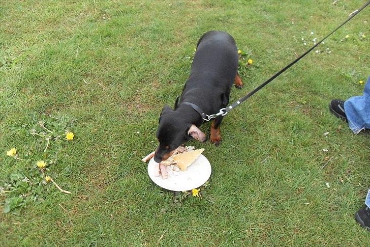 fødselsdag - guf guf billede 19