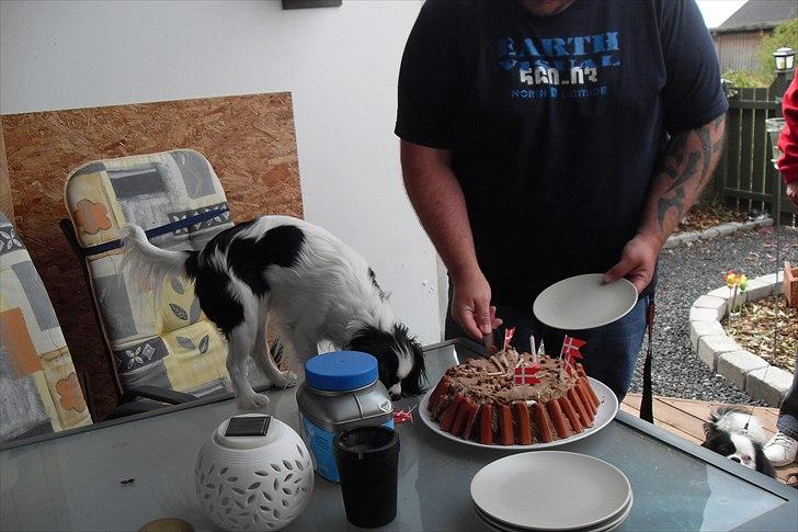 fødselsdag - så skal der skages kage ud billede 22