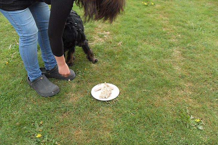 fødselsdag billede 28