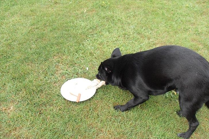 fødselsdag billede 29