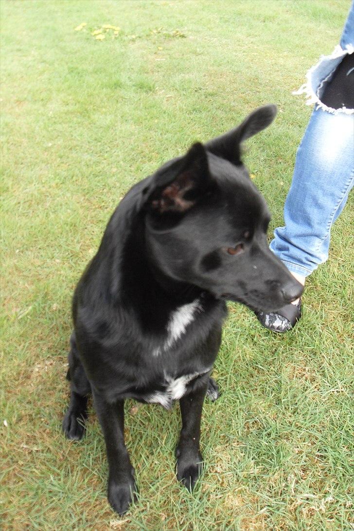 fødselsdag billede 33