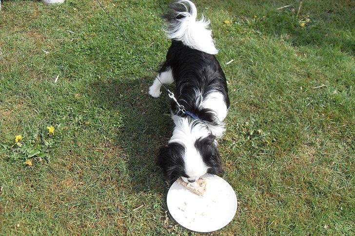 fødselsdag billede 34