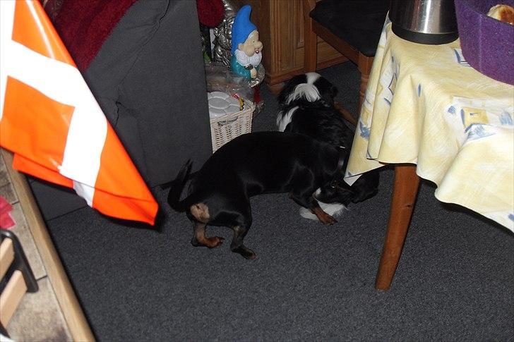 fødselsdag billede 39