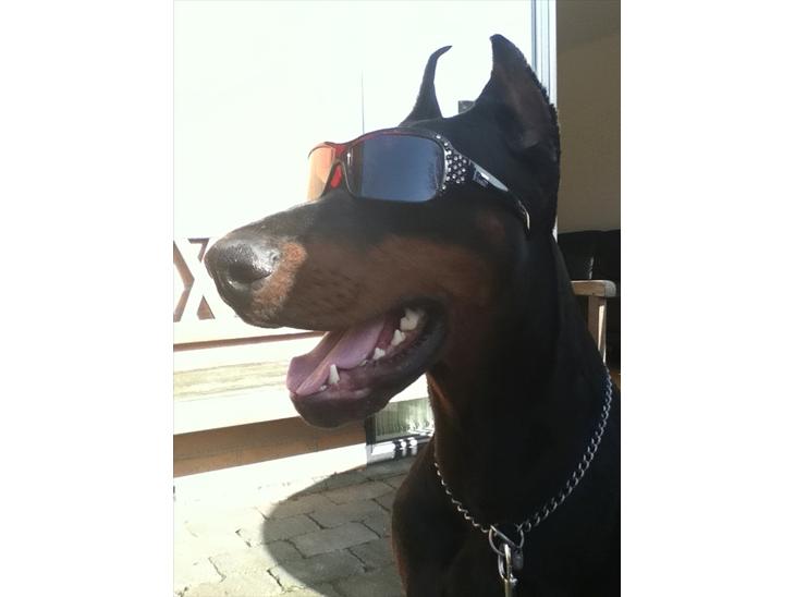 {{currentPhoto.altText}} billede {{currentPhoto.number}}