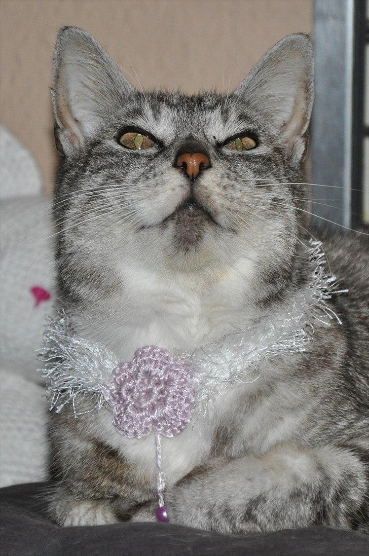 Hæklede sager - Baby-Luv med hæklet halsbånd billede 18