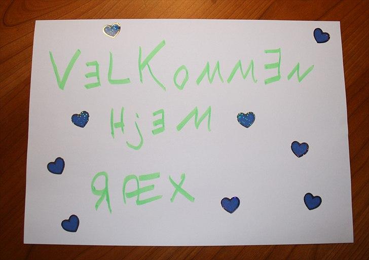 Diverse fjollerier - billede 40