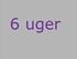 1414s Damian xXx 1414s Cindy, 6 og 7 uger