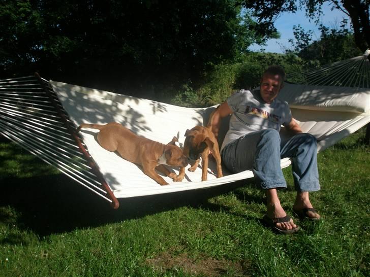 Hunde træf på langeland sammen med Sniff´s venner  - Og nu skal Martin ha en slapper billede 16