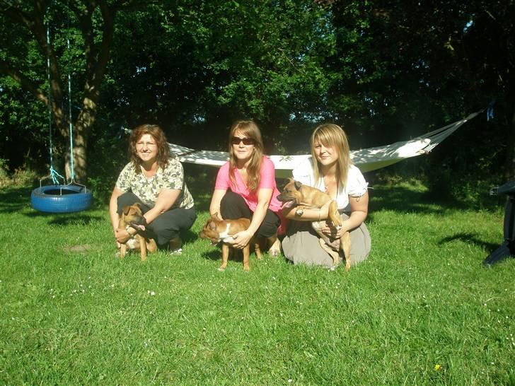 Hunde træf på langeland sammen med Sniff´s venner  - Marianne og Sniff til venstre 

Maria og Envy i midten 

Carina og Boogie til højre
 billede 18