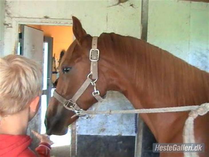 {{currentPhoto.altText}} billede {{currentPhoto.number}}