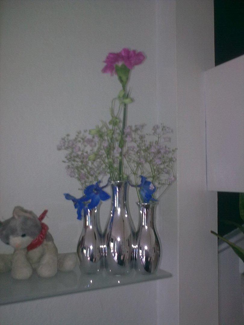 Blandede billeder - blomster til mors prins  billede 26